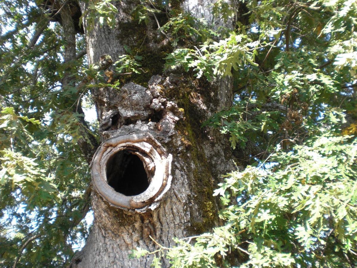 Hotel Rural Valle Del Tuejar Taranilla Εξωτερικό φωτογραφία