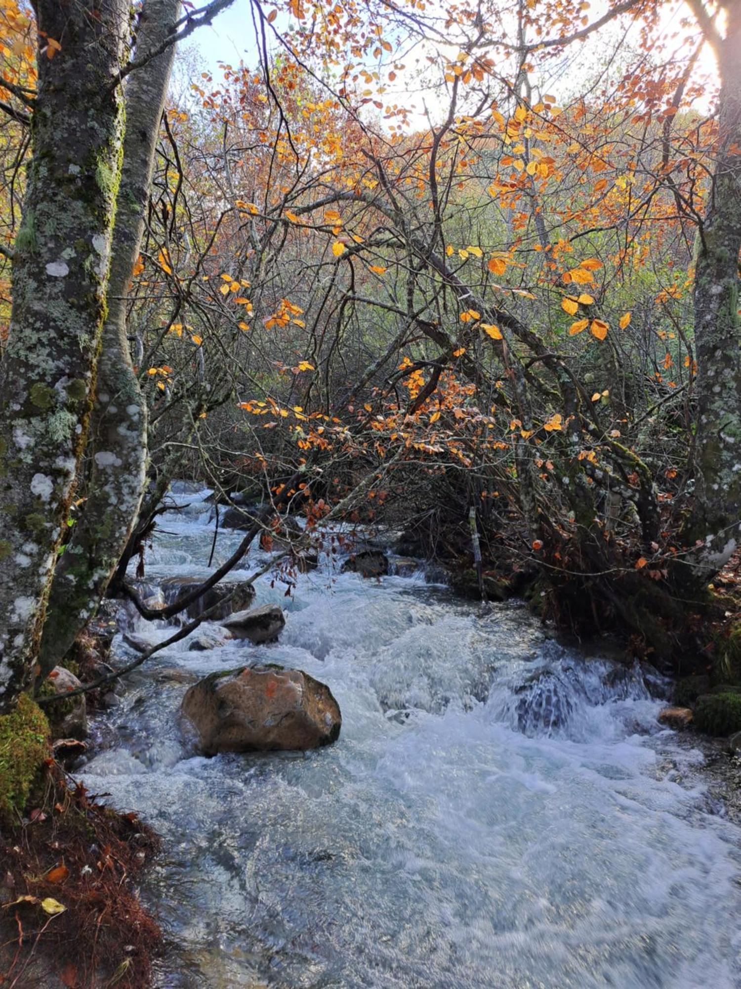 Hotel Rural Valle Del Tuejar Taranilla Εξωτερικό φωτογραφία