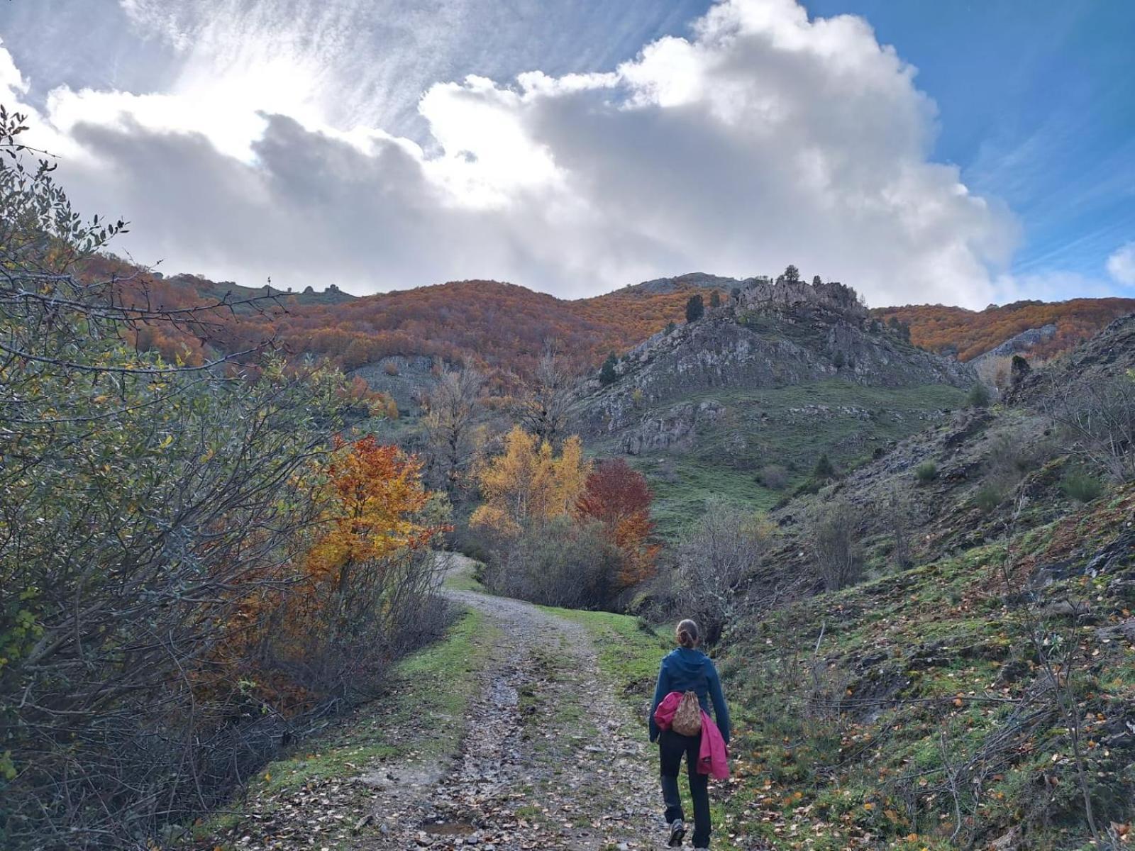 Hotel Rural Valle Del Tuejar Taranilla Εξωτερικό φωτογραφία